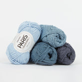 Paris Recycled Denim